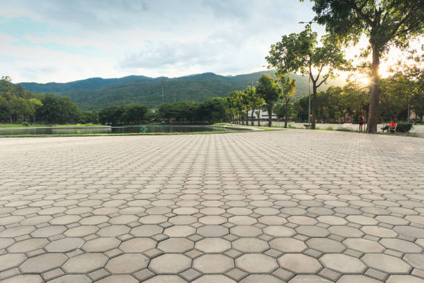 Best Driveway Paver Repairs and Restoration in Walker, LA